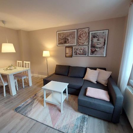 Helles Modern Eingerichtetes Apartment Halle  外观 照片