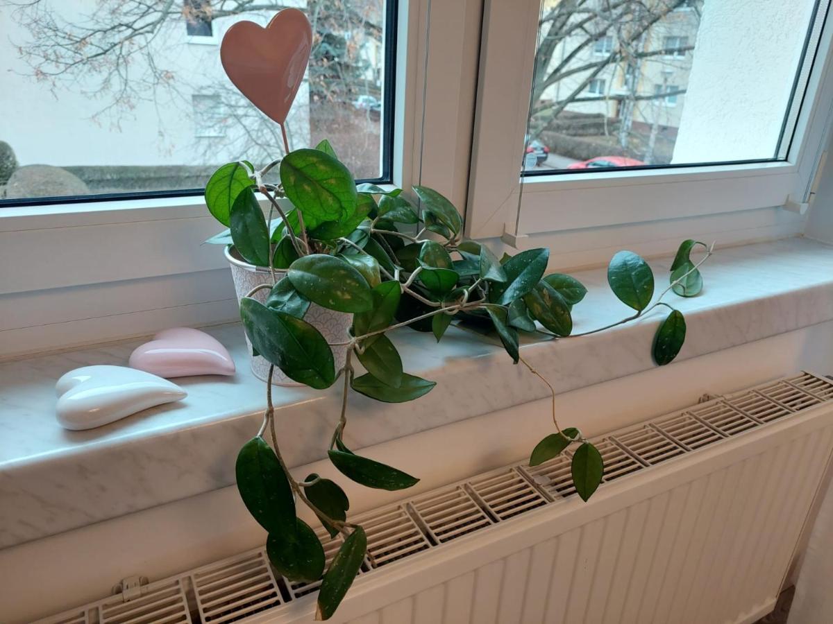 Helles Modern Eingerichtetes Apartment Halle  外观 照片