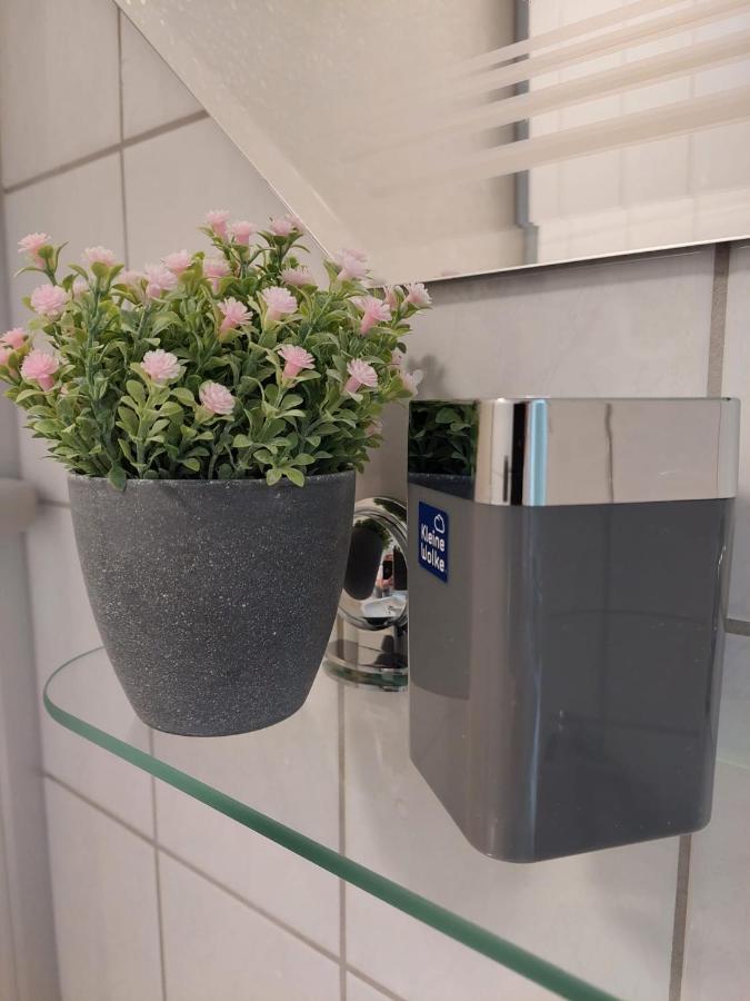 Helles Modern Eingerichtetes Apartment Halle  外观 照片