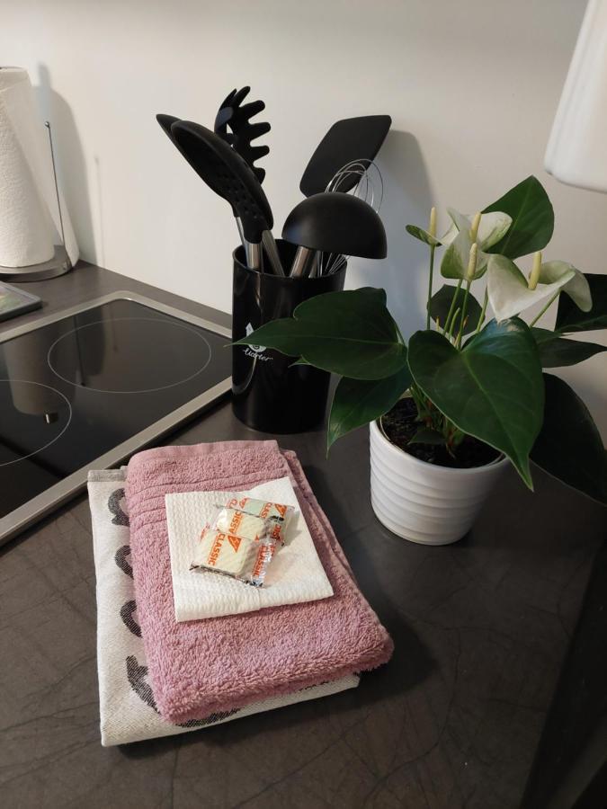 Helles Modern Eingerichtetes Apartment Halle  外观 照片