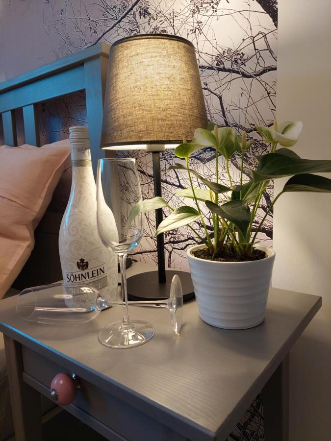 Helles Modern Eingerichtetes Apartment Halle  外观 照片